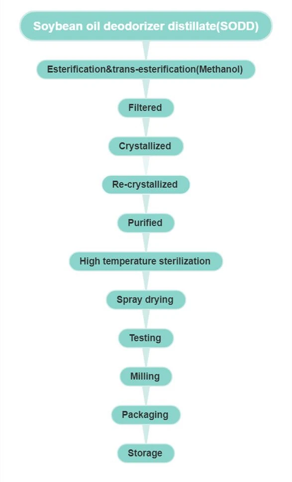 stigmasterol powder-flow chart