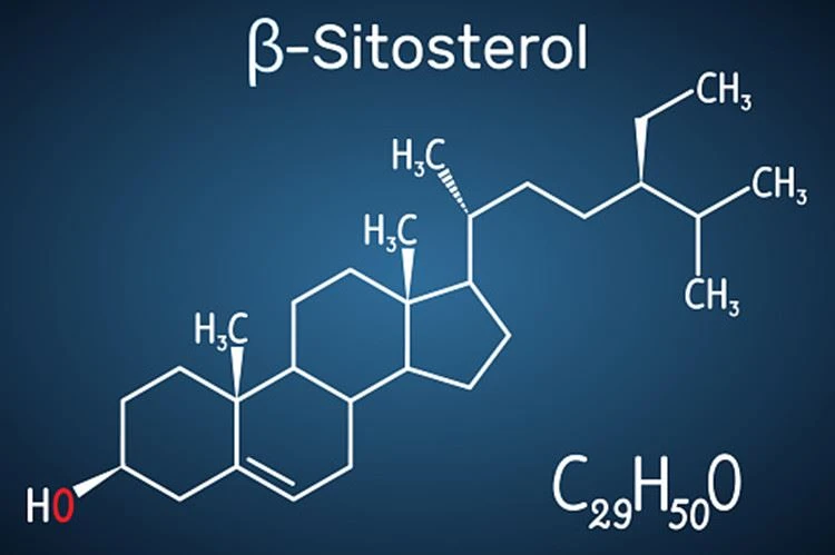 Beta Sitosterol
