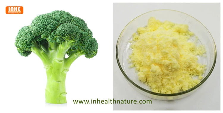Broccoli and Broccoli Seed Powder Broccoli and Broccoli Seed Powder
