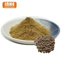 Serbuk Ekstrak Cendawan Maitake