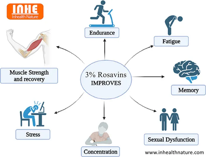 Does 3 Rosavins Really Have Adaptogenic Properties