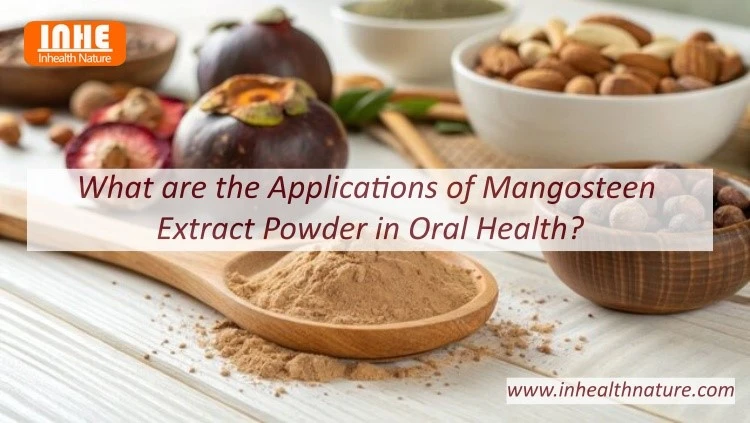 What are the Applications of Mangosteen Extract in Oral Health
